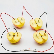 LED 과일전지 아연 구리판 전극 전선 실험세트 학교 장치 수업 방과후 교구 산성 키트