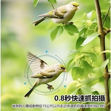 AG-15 4G SHOT HD 1296P高畫質鏡頭防水攝影機, 1個, 主機+32G 記憶卡