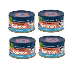 울월스 알래스칸 연어 통조림 Woolworths Salmon In Springwater, 4개, 95g