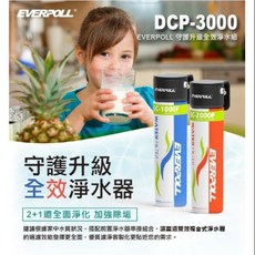 EVERPOLL DCP-3000 全效淨水組