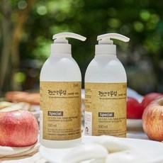 전선생부엌 1종 주방세제 과일세정제 나무도마 곰팡이 제거 미네랄100% 다용도 세정제, 2개, 500ml