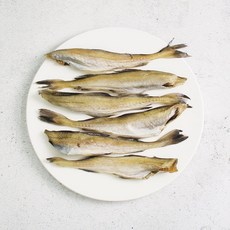 촉촉 반건조 손질 노가리 (특), 1개, 1kg