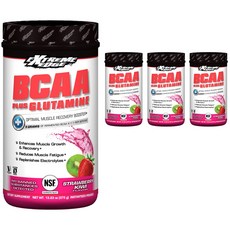 익스트림엣지 BCAA 플러스 글루타민 스트로베리 키위 글루텐 프리 비건, 4개, 375g
