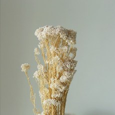 小米花 永生花 乾燥花 DIY花束 花材 (一束80克) - 多色可選, 白色