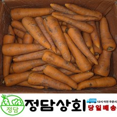 ( 정담상회 ) 국내산 당근 흙당근 햇당근 <하> 주스용 3kg 5kg 10kg, 1박스, 10kg(하)