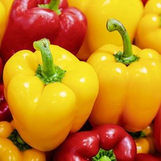 국내산 파프리카 2kg/가정용/12~18개 내외 ggu+53007Xs