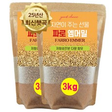 에코홀릭 파로 엠머 밀 고대곡물 저당 파로쌀 파로곡물, 2개, 3kg