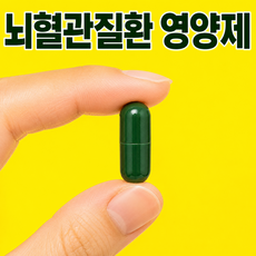 온맘담은 은행잎추출물 뇌혈관질환 영양제 기억력개선 인지기능향상 두뇌건강 집중력증진 혈관리 관인 학습능력지원 지장애 노년기, 4개, 60정
