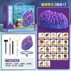超繪玩 挖寶石科敎玩具 兒童考古挖掘 海洋寶藏 小女孩琥珀昆蟲礦石化石DIY, 考古珊瑚-貝殼類【組合1】, 1個