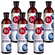 홍초 블루베리, 900ml, 6개