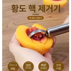 복숭아 씨 씨앗, 도구 1개, 1개