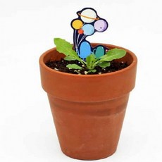 씨앗카드 민들레 씨앗봉투 채소키우기 식물팻말 씨앗선물, 상세페이지 참조