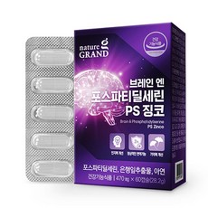 뇌 PS 포스파티딜세린 은행잎추출물, 1개, 60정