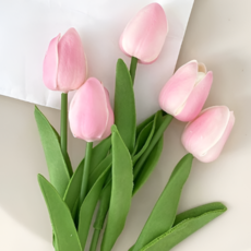 IGARDIN 시들지 않는 튤립 조화 인테리어 미니 꽃 장식 거실 소품, 5개, 파우더핑크