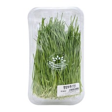 국내산 영양부추 1단, 1개