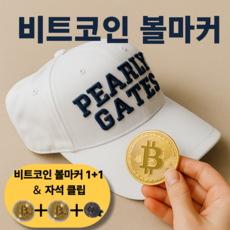 다잇대 골프 필드 비트코인 자석 볼마커, 골드, 2개