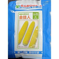 AGRONES 金佳人 水果玉米種子 F1 優質品種 矮性 皮薄 1磅裝, 1包
