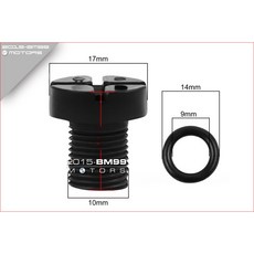 台製 BMW 寶馬 副水箱 洩氣螺絲 塑膠螺絲 含油封 E85 E86 E89 G29 Z4 E81 E82 120I, ABS款