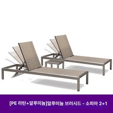 데일리온 선베드 풀빌라 의자 수영장 일광욕 야외의자 테라스 깔끔하고튼튼한, 라탄 위빙 스타일 2+1