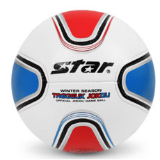 스타스포츠 태극 족구공 동계용, JB245W-31, 2개