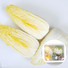 의령농산 건강채소 국내산 쌈채소 알배기 두통, 국내산 알배기 한통, 1개, 400g