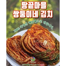 해남 땅끝마을 쌍둥이네 김치 해남배추 전재료 국산 생김치, 8kg, 1개
