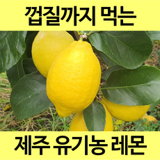 [통째로 레몬] 제주 무농약 GAP 인증 유기농 레몬 껍질까지 통째로 먹는 레몬, 1박스, 유기농 1.5kg
