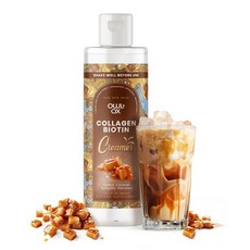 커피 프림 크리머 버섯 MCT 오일 함유 Owl Ox L테아닌 뇌기능 향상 슈퍼푸드 블렌드 비건 무설탕 무유제품 적응성 식품 식물성 및 케토 친화적 헤이즐넛 초콜릿 맛 30인분, 콜라겐 - 소금 캐러멜, 1개