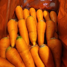 제주도 구좌 무농약 세척 햇 국내산 당근, 1개, 소, 3kg