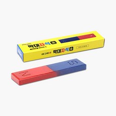 막대자석 소 자석실험