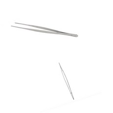 프잰 파충류 핀셋 파충류키우기