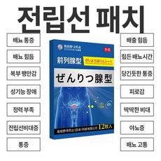 사카기노메구 전립선 관리 패치 12매입 남성 배꼽 부착용 건강패치, 2세트