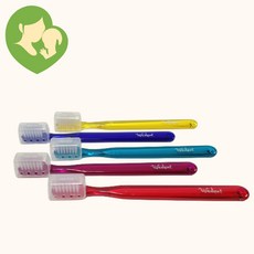 국산 산모 칫솔 1개 부드러운 부드러운모 칫솔, 1개입