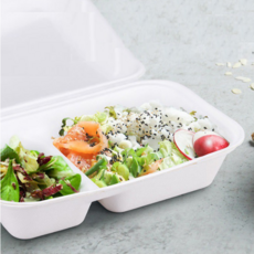 Draw Life 一體成型紙漿便當盒 白色 2格 251 x 166 x 63 mm, 1個, 100個