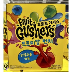 후르츠 거셔스 트로피칼 펀치, 1개, 1kg