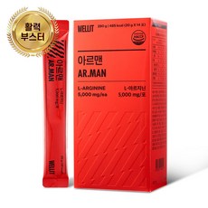 웰릿 정품 아르맨 아르기닌 5000mg 14p, 280g, 1개