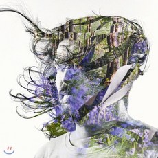 [CD] Bibio (비비오) - Ribbons