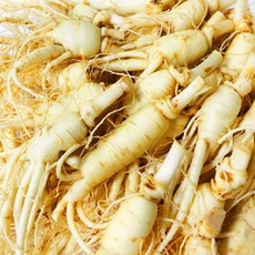 금산 후금이네 가정용 햇 수삼 세척인삼 난발, 700g, 1개, 700g (20뿌리이상)