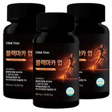 바이탈트리 아르기닌 블랙마카 업, 3개, 120정