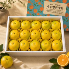 갓따온 제주 황금향 선물세트 4.5kg 대과 12-19과, 1개, 4500