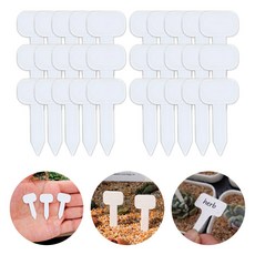 도나토르 미니 식물 다육이 이름표 30p, 화이트 30p