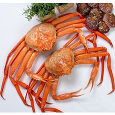 선물용 선물세트 추천 라면용 가족모임 홍게 일반형 5kg 18-20미 내외, 1개, 상세페이지 참조