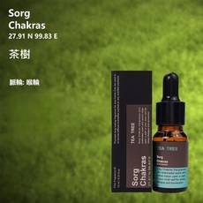 Sorg Chakras 雪人造型擴香木 茶樹精油10ML 居家香氛擴香組, 1個