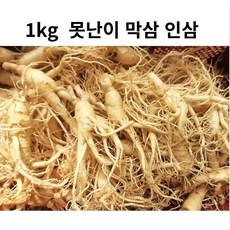 금산인삼파삼1kg 금산인삼5 6년근 인삼 인삼파삼1kg 수삼 수삼파삼가정용, 1개, 1kg