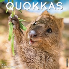 (영문도서)Quokkas 2026 12 X 12 Wall Calendar Spiral, Willow Creek Press Calendars, English, 9781549252532
