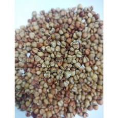 金協和 紅薏仁 養生食品 (600g/1800g/3000g) 大顆紅薏仁 養身食品 調味食品, 1個, 3000g