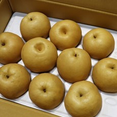 자연진리 나주 양념용 배즙용 15kg 랜덤과, 1개, 가공배 15kg