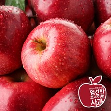 온리유 12Brix 안동부사 실속형 못난이사과, 1박스, 3kg (중과)
