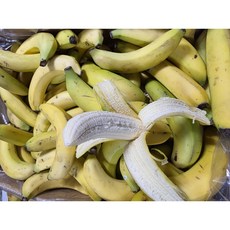 실속형 고당도 낱발 바나나 고당도 낱발 바나나 6KG 10KG 13kg, 1개