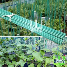 조이가든센터 FRP 국화지지대- 높이 120cm 10개